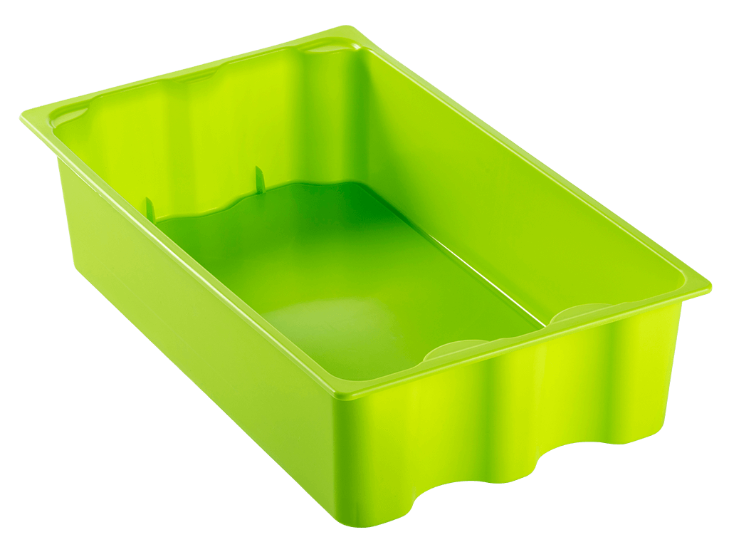 Lily bulb crate Hollarts